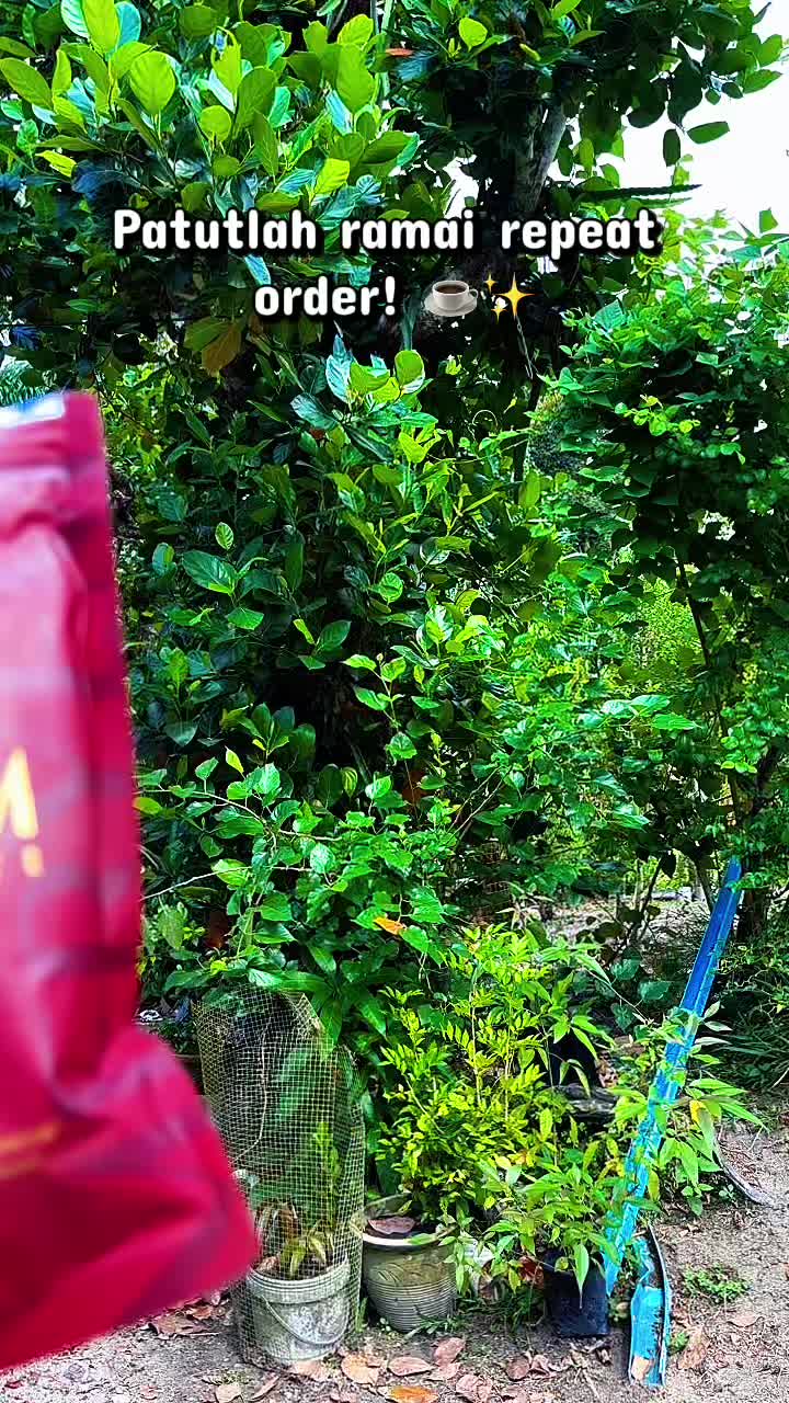 @CTOMEY🦋✨
