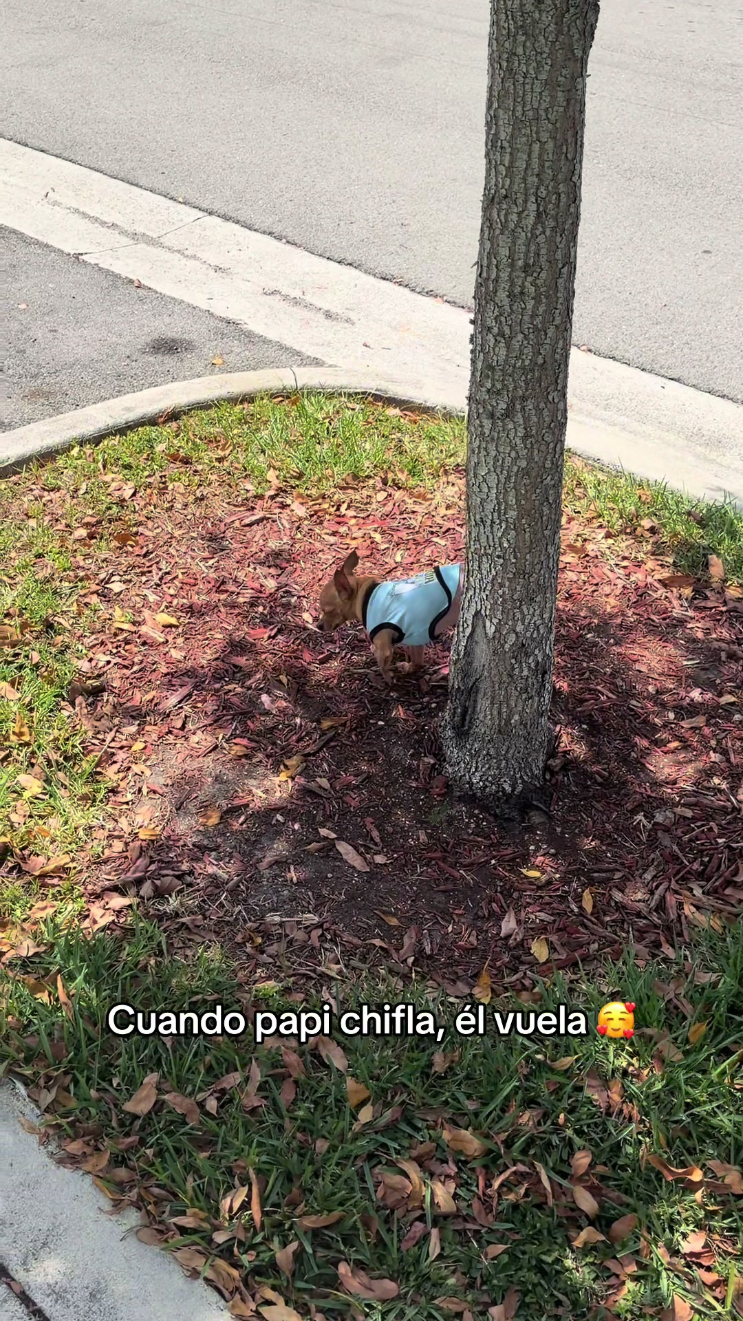 @Gloria Hernandez