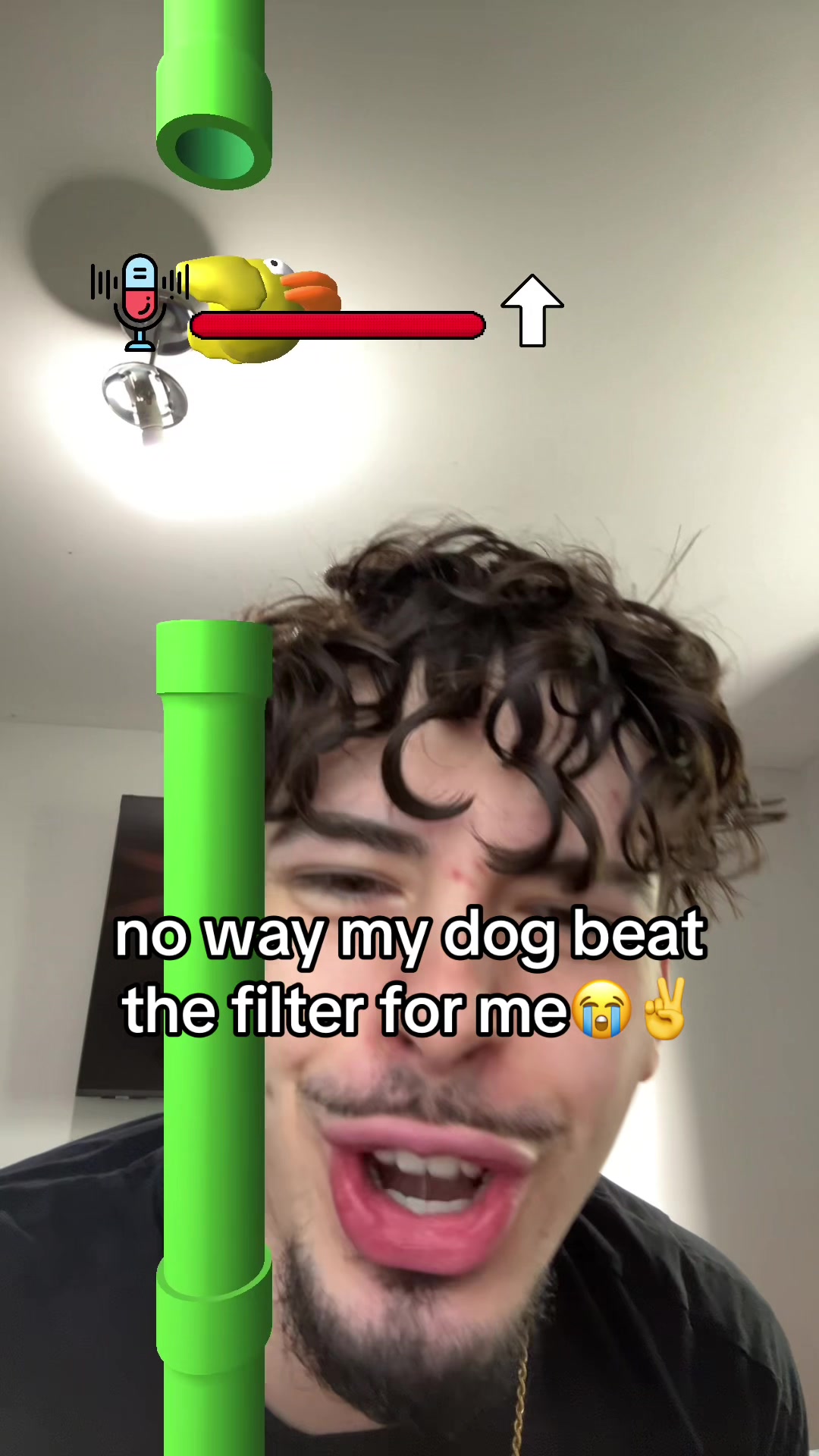 @david