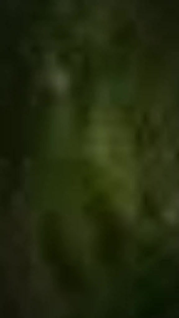 @ভালোবাসার লাল গোলাপ 🌹🌹