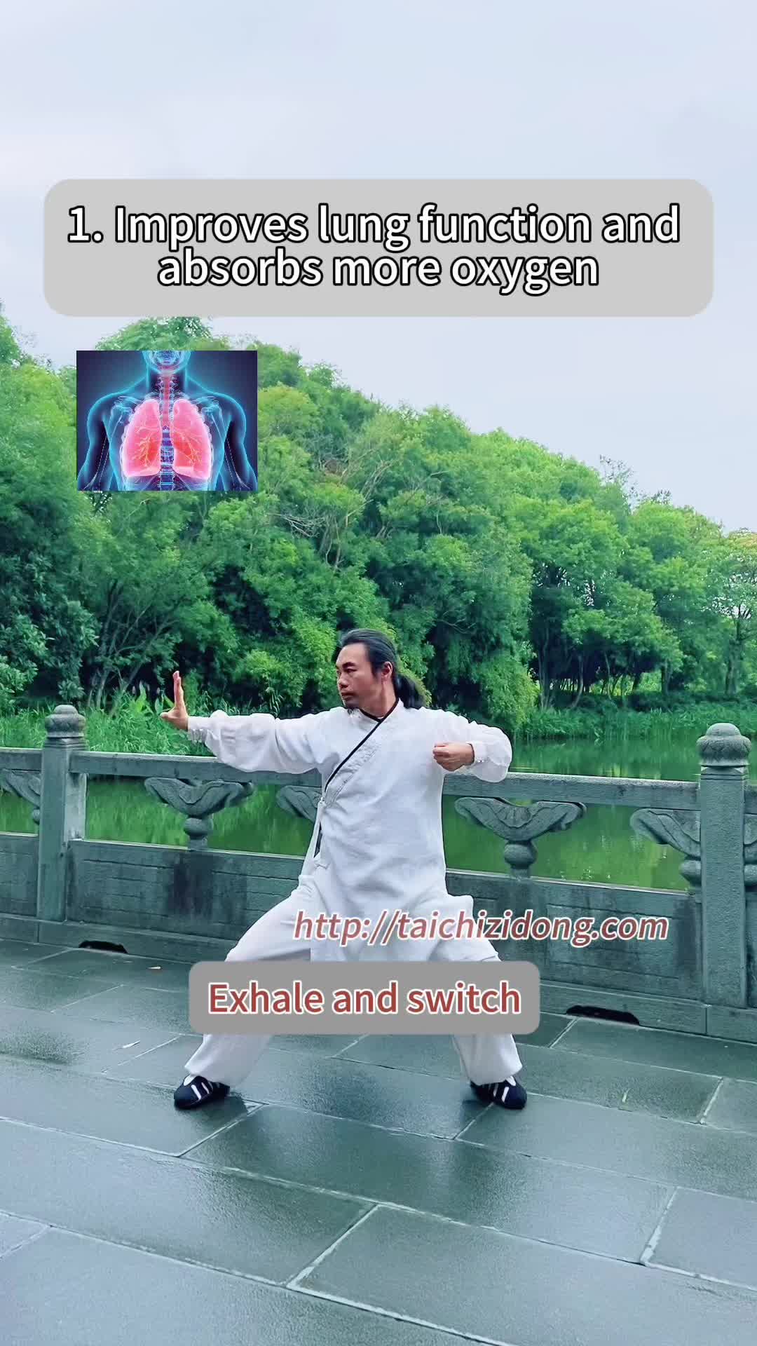 @Wudang.Zidong
