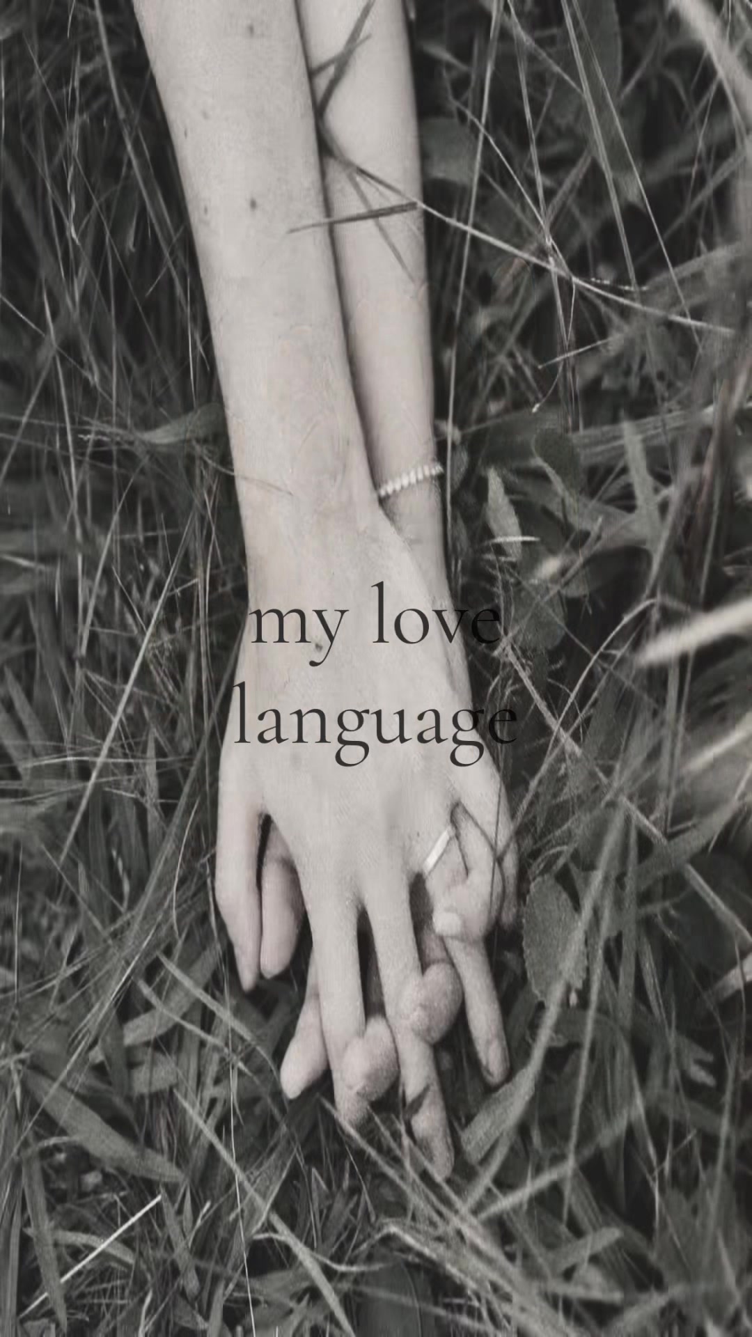 @ִֶָ. ..𓂃 ࣪ ִֶָ🦇་༘࿐