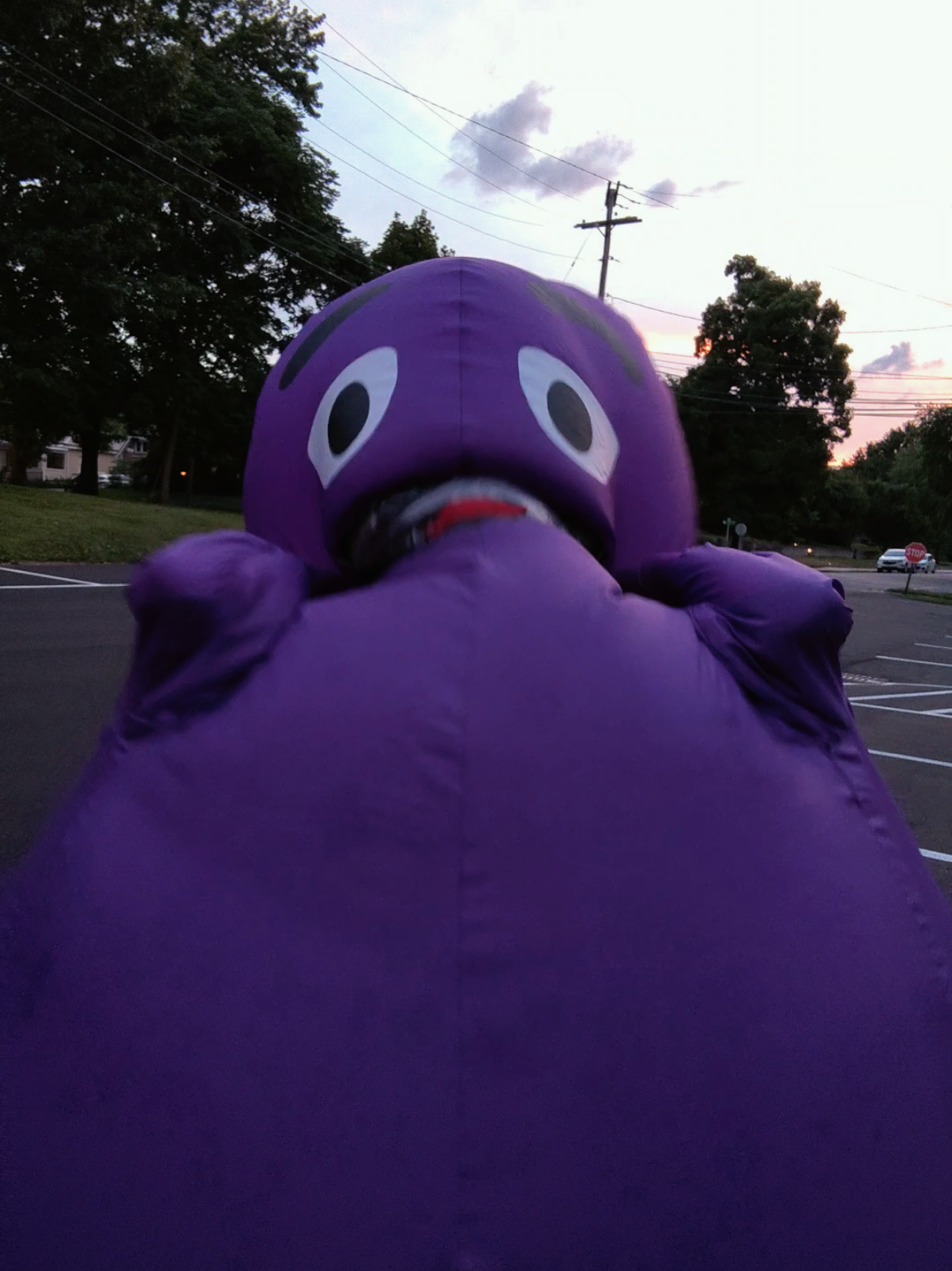@GrimaceTheMinace👾😈✨