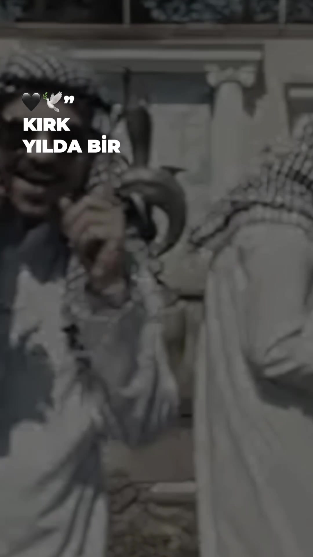 @mehmetllyrics
