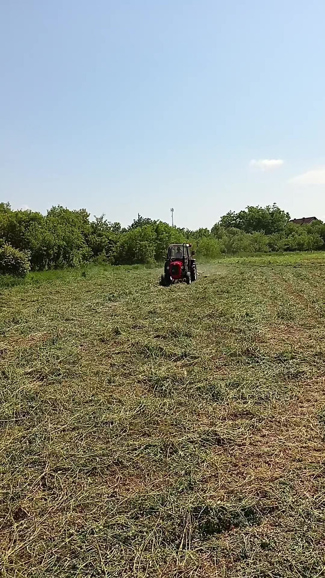 @Rašo