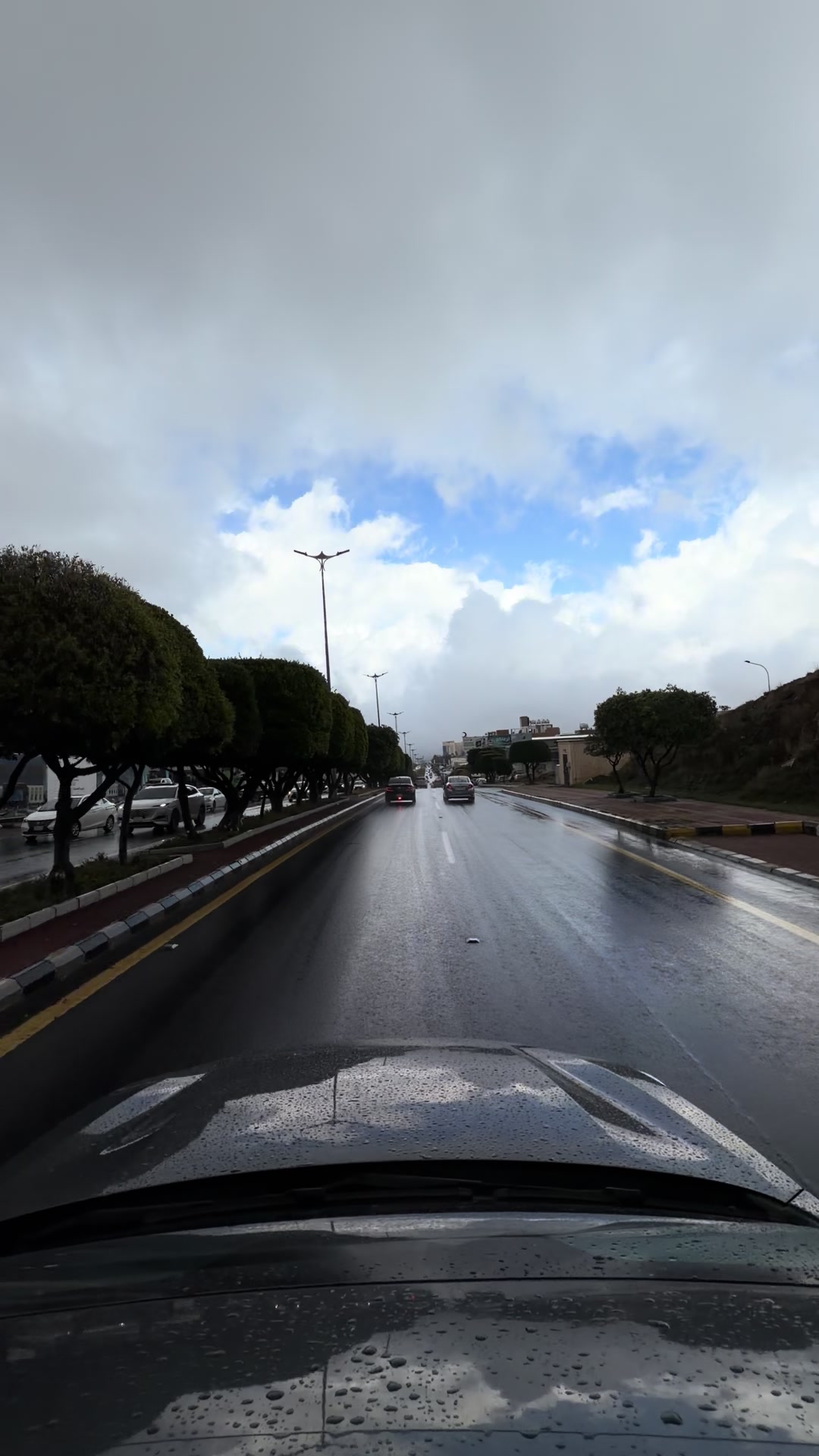 @اثير القحطاني🌱