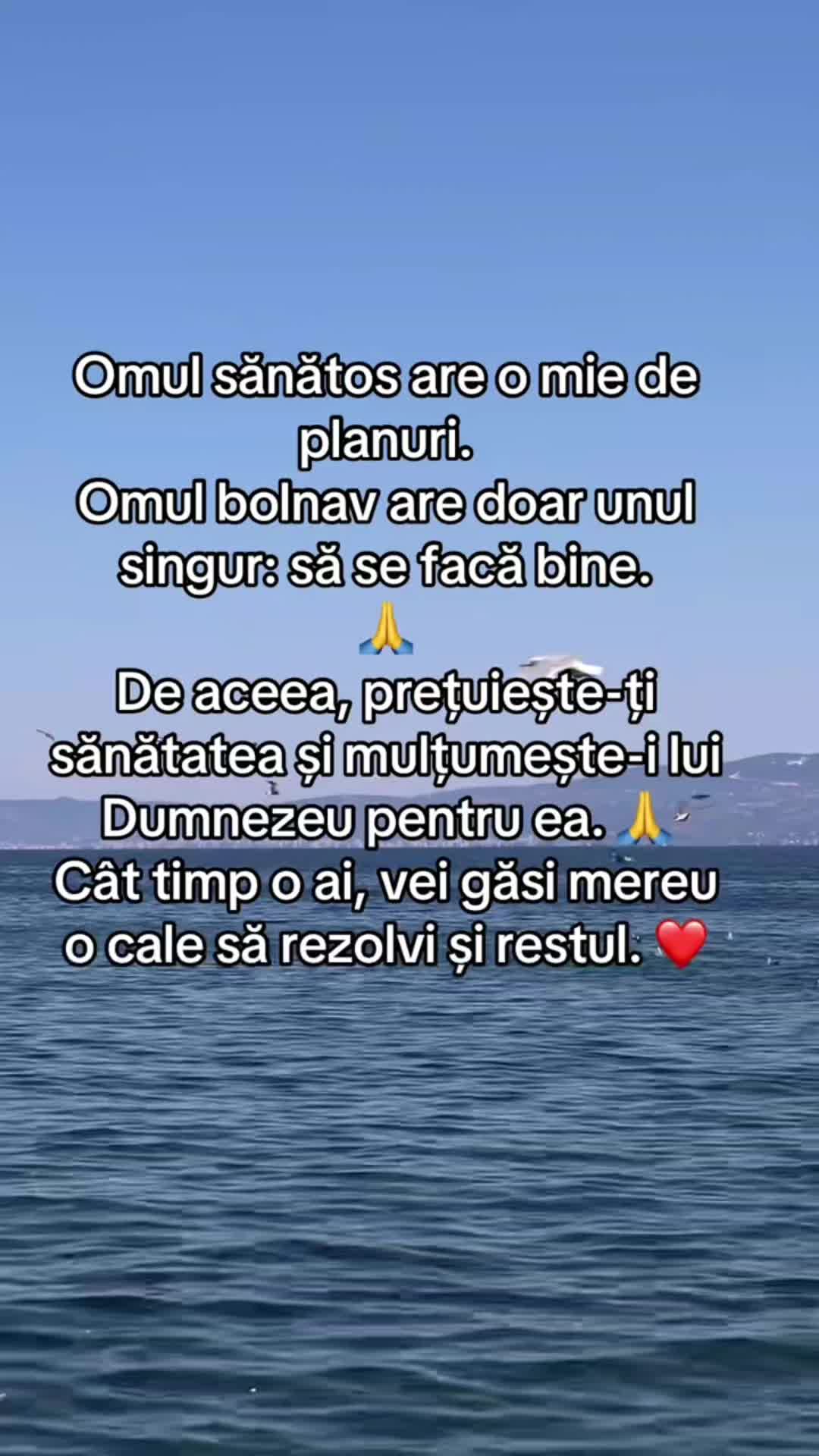 @Elena