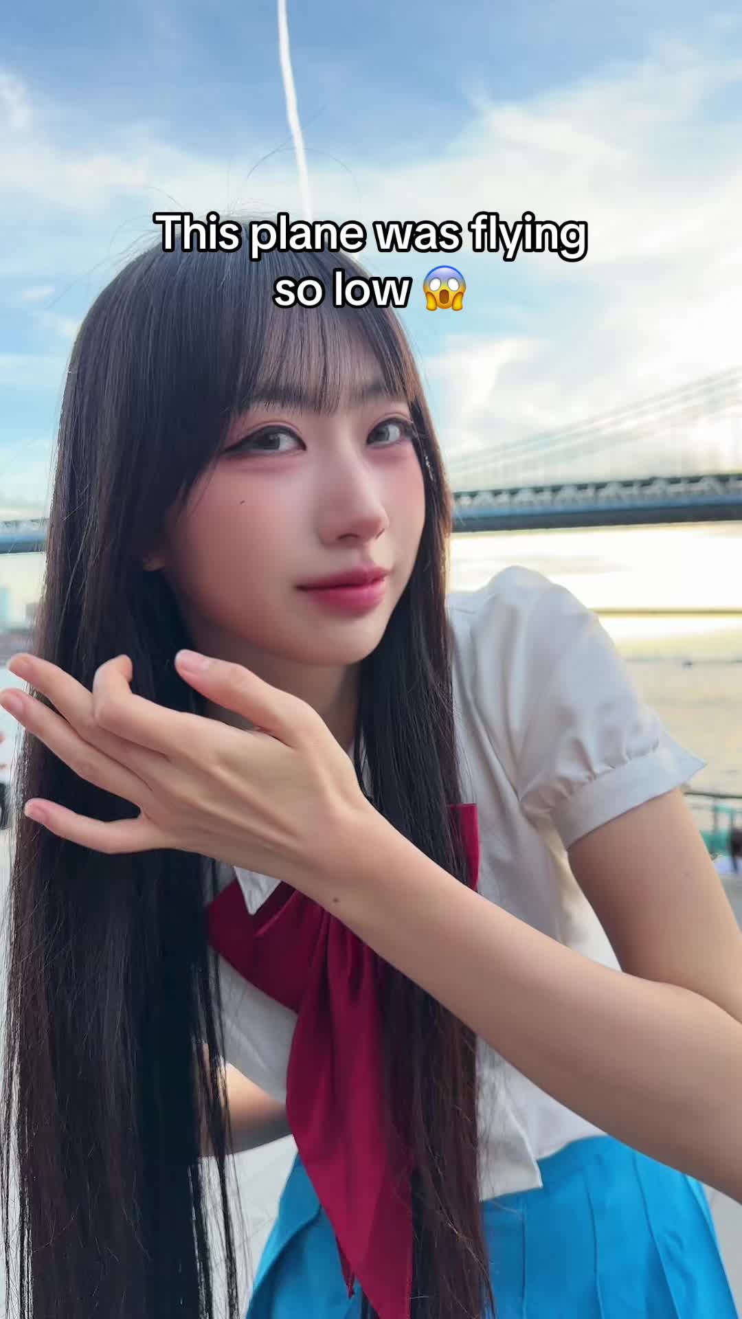 @mollyshen