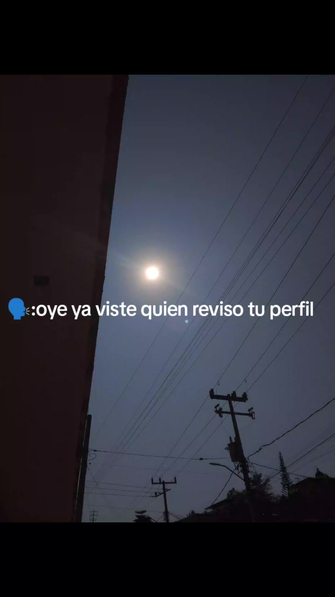 @arbolerasimia🦍