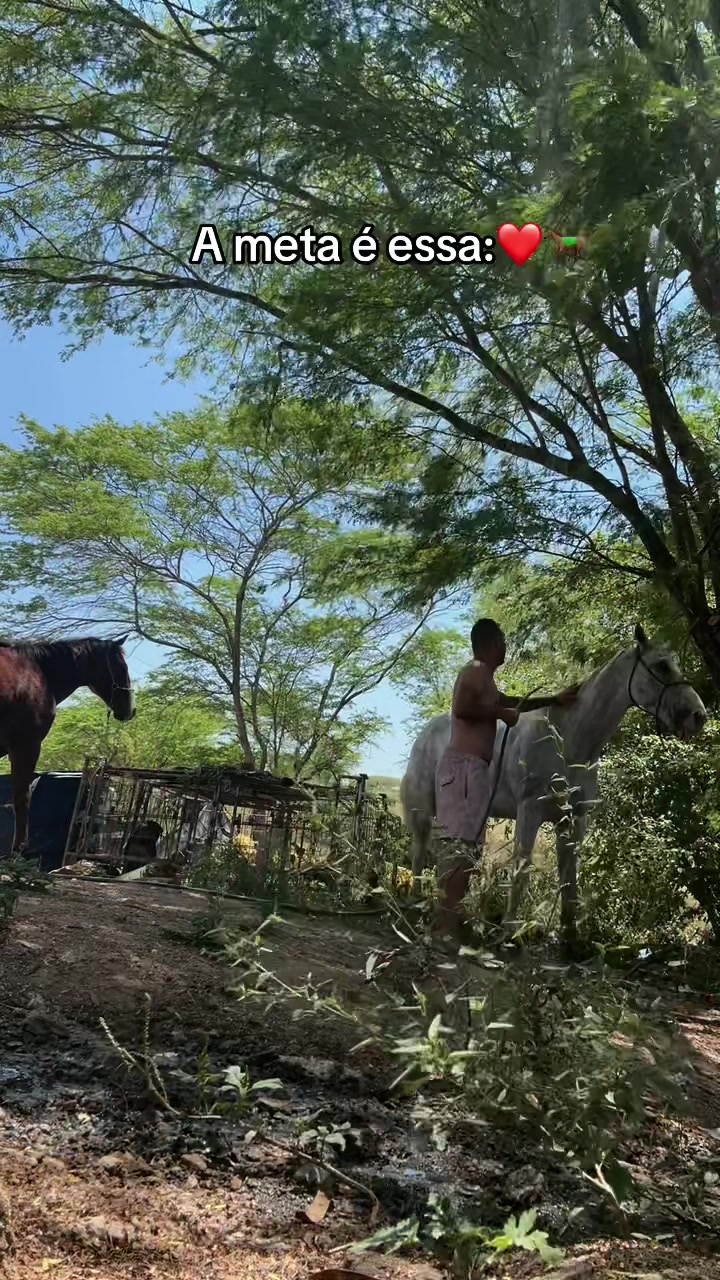 @hellensantos6783