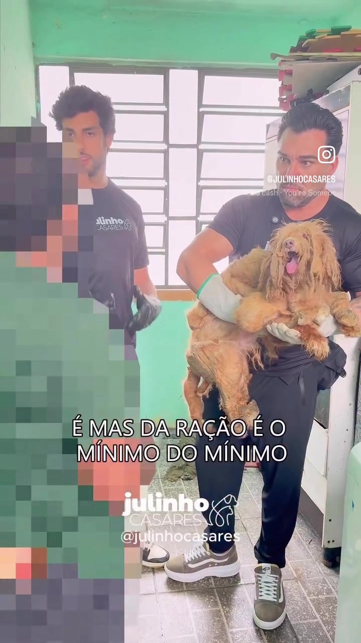 @julinhocasares