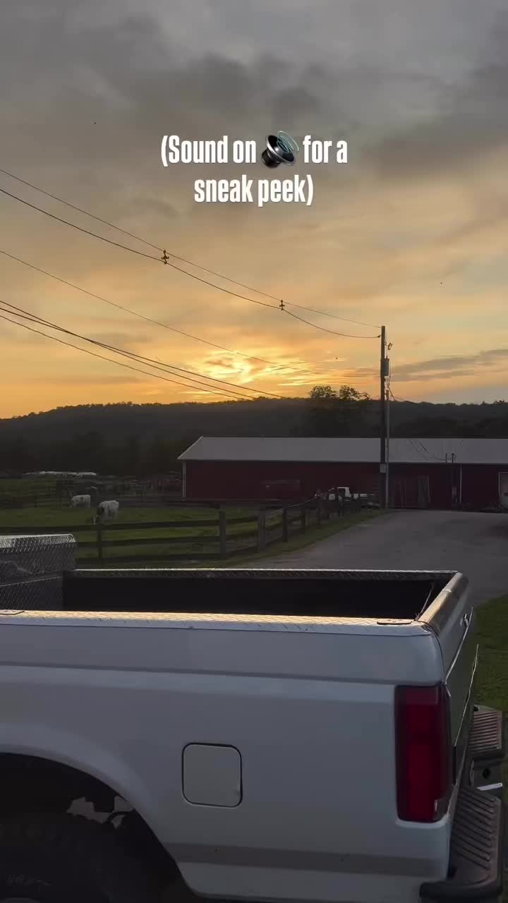 @timvgandcompany
