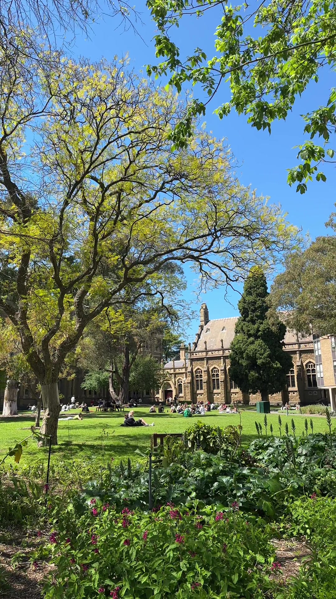 @OrmondCollege