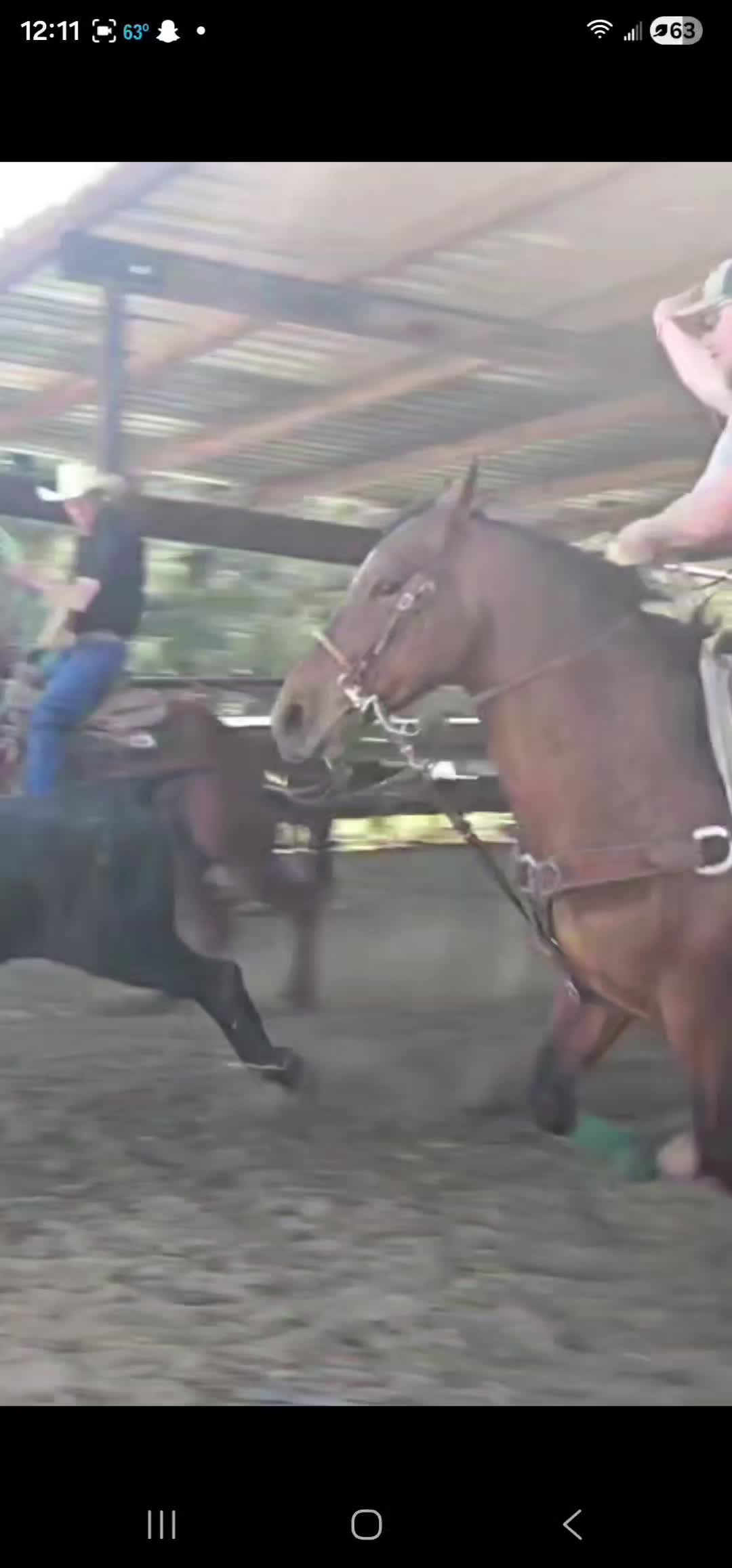 @scottdailyhorsetraining