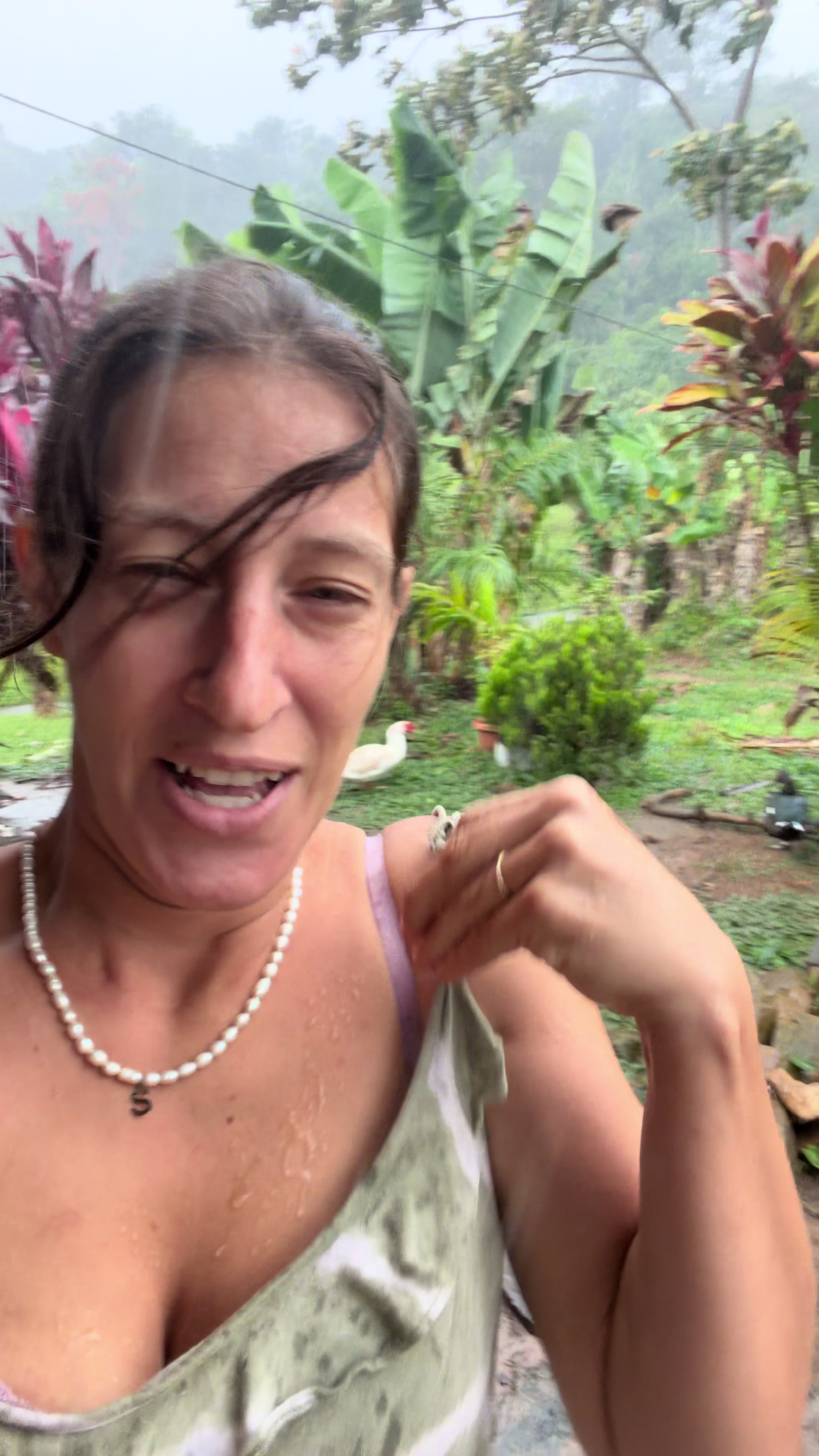@Jungle Outdoor Sabine Nichols