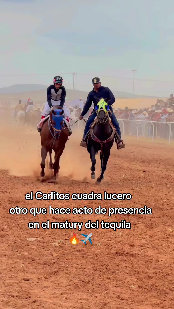 @carriles altos de jalisco🐎