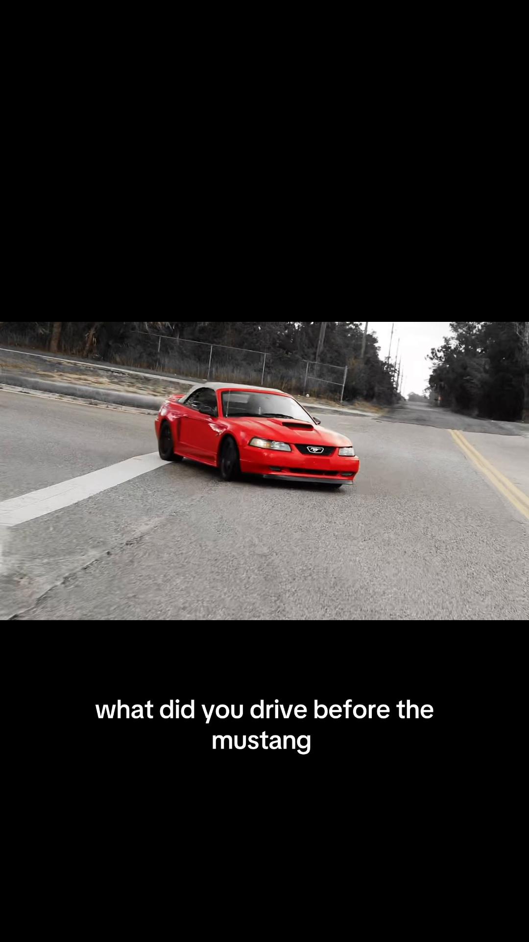 @that.new.edgemustang