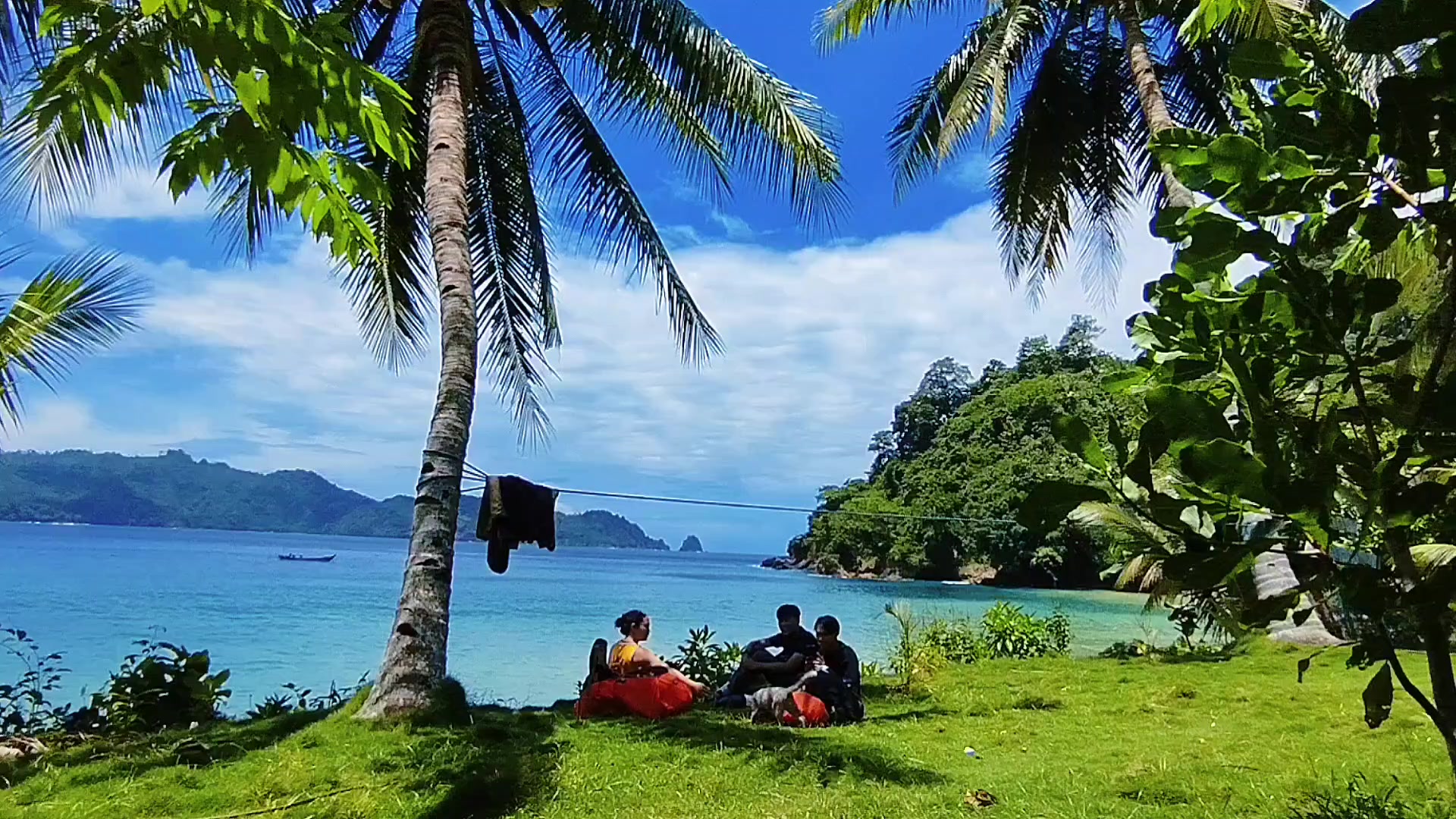 @erwin.story