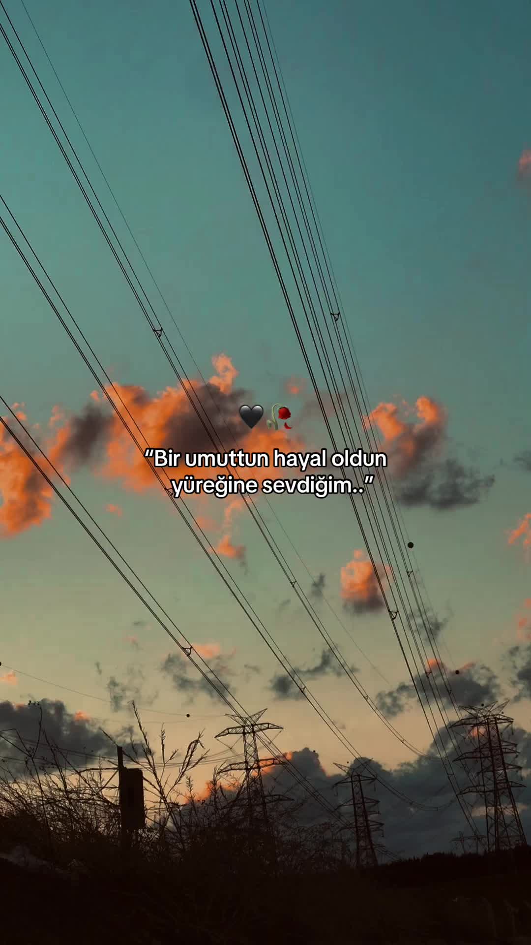 @𝑩&uuml;𝒏𝒚𝒂𝒎𝒊𝒏⚡️