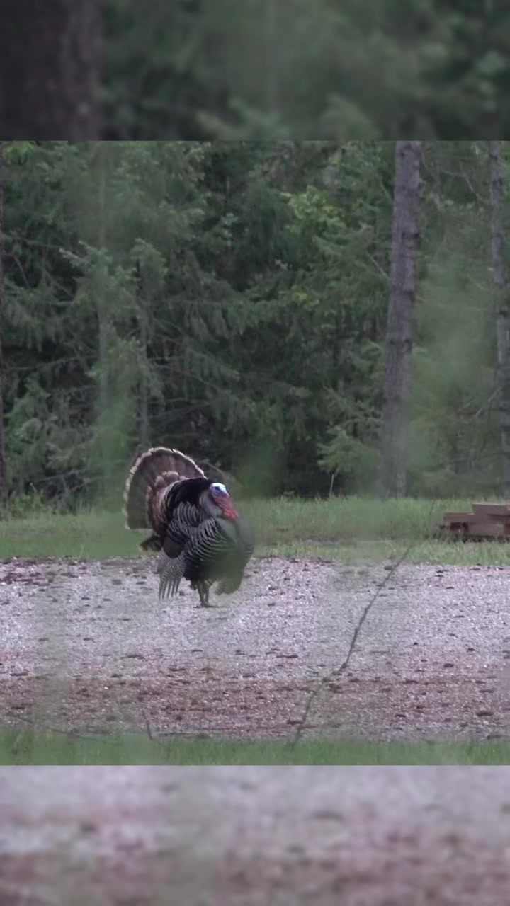 @HeadOutdoors