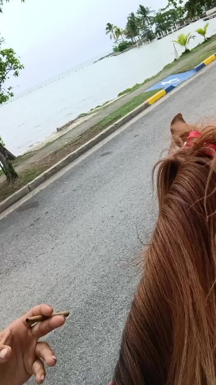 @Hacienda Los Queridos