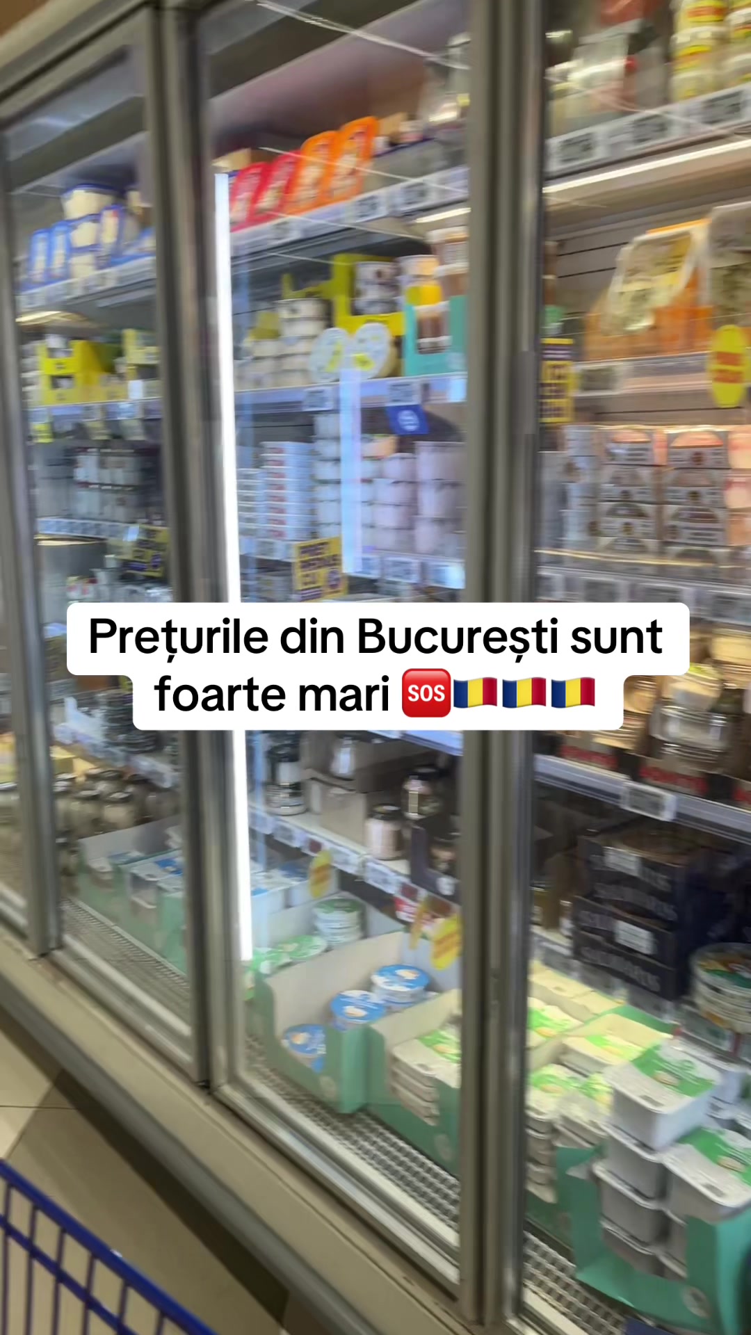 @Gustul De Acasă Gelsenkirchen
