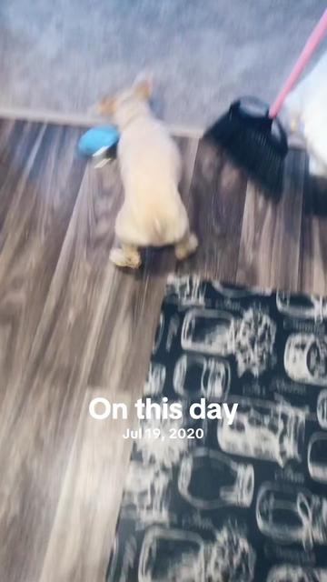 @Cocofancy