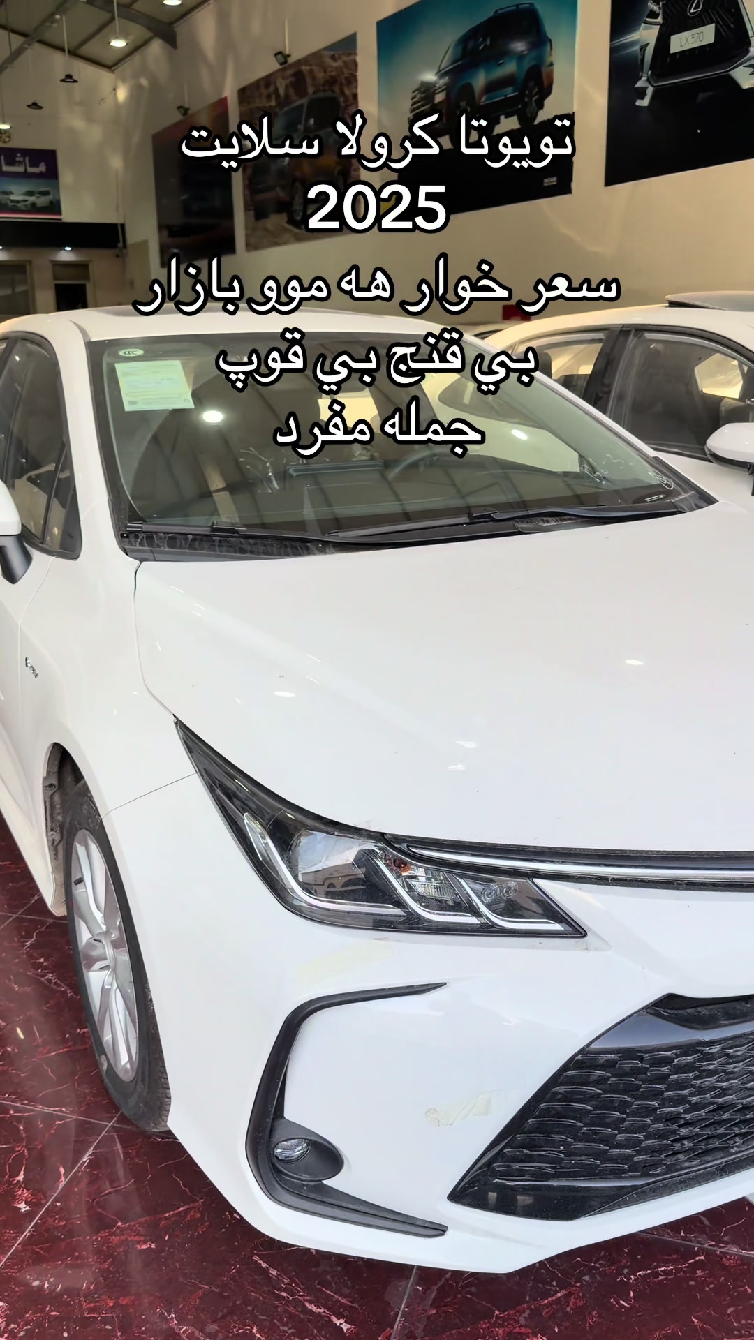 @شرکە سامان ابراهیم محمد