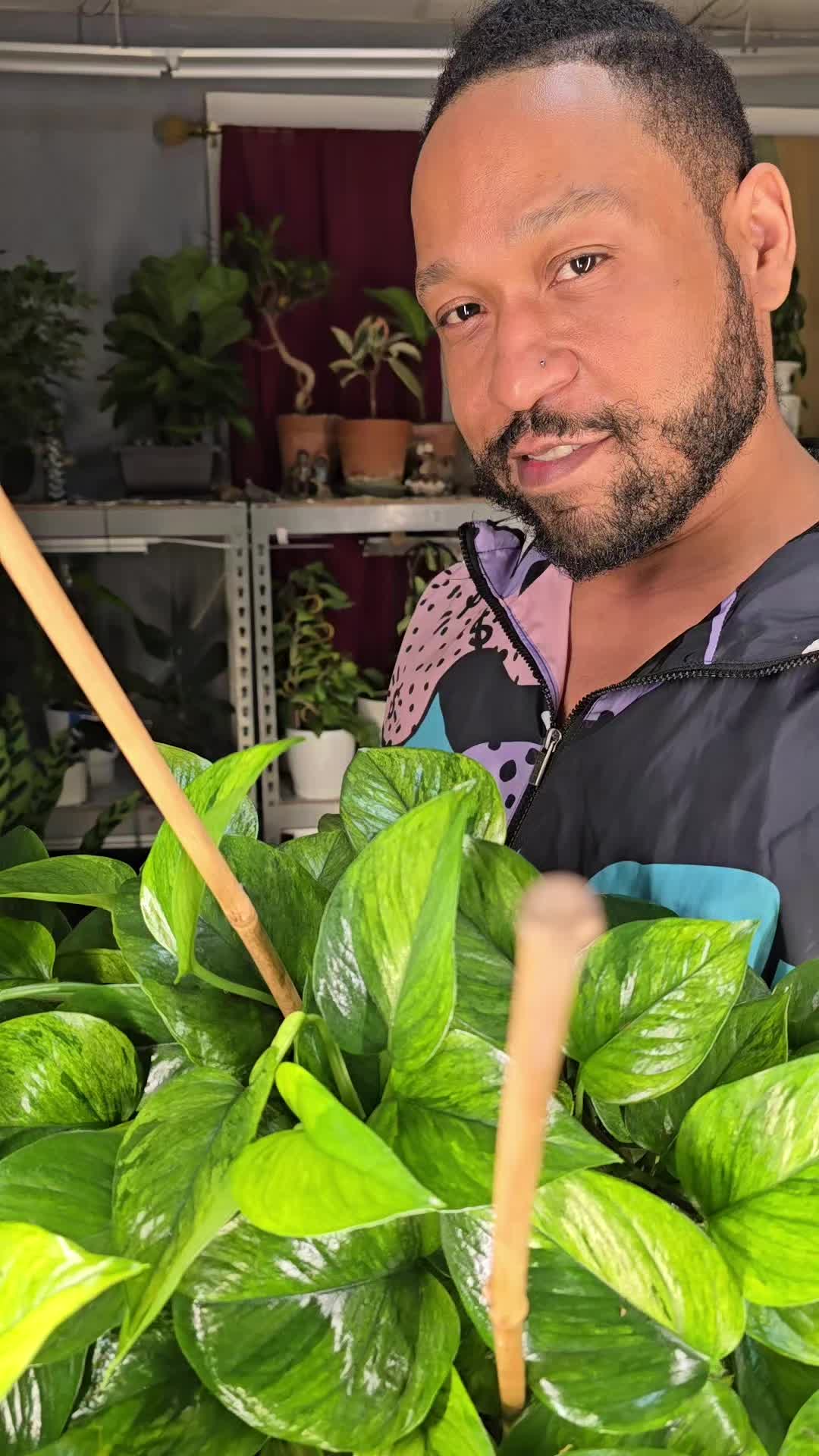 @JT - BigEGOPlants