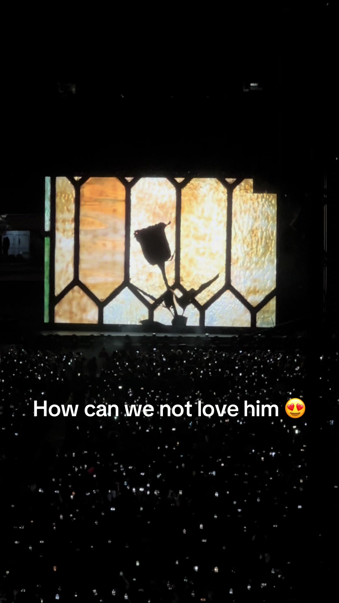 @Daisy 💛