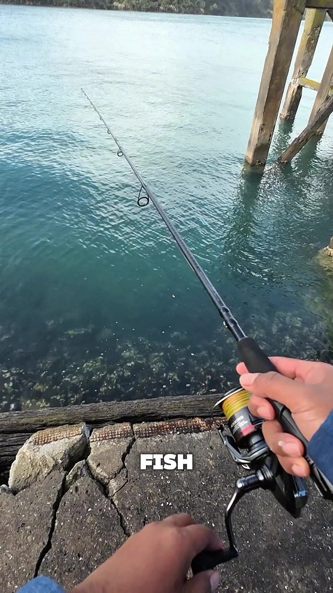 @Taqi Fishing