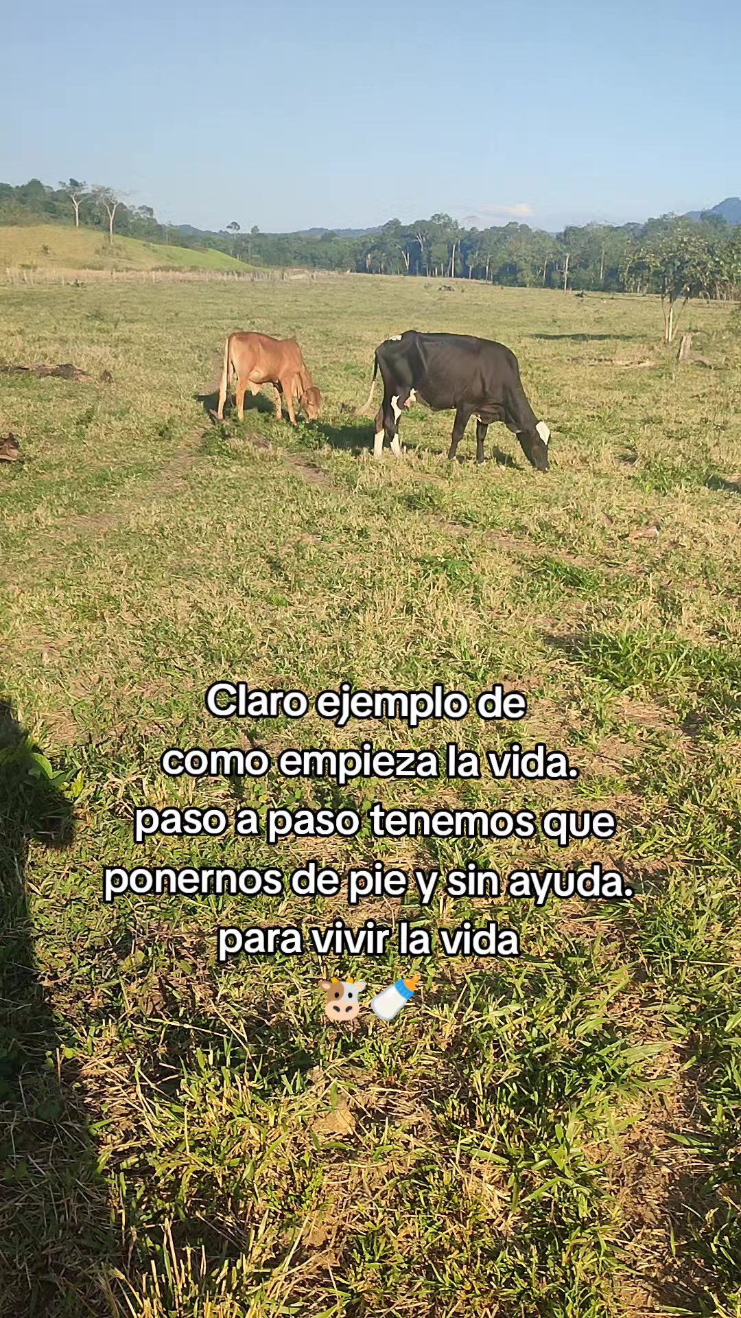 @SERGIO. R._94