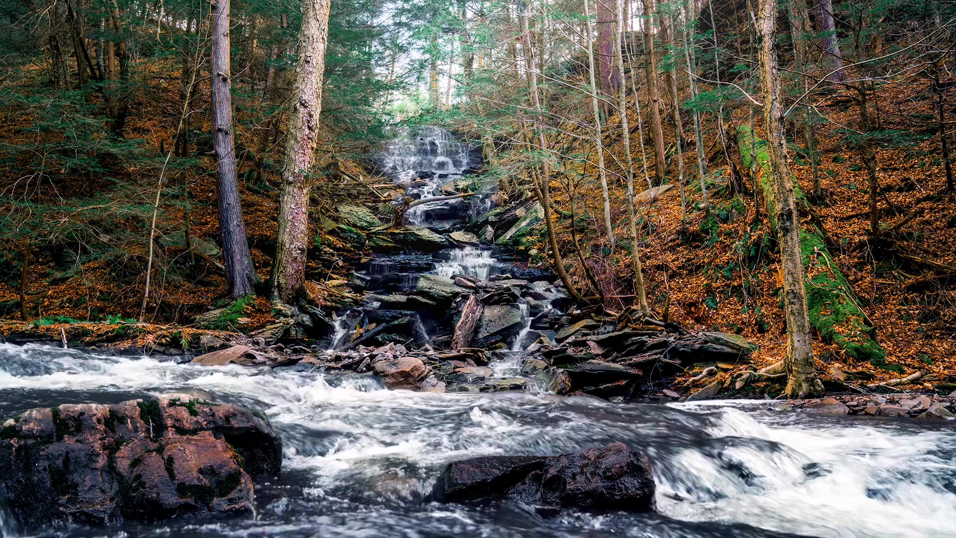 @wnyscenery.insta