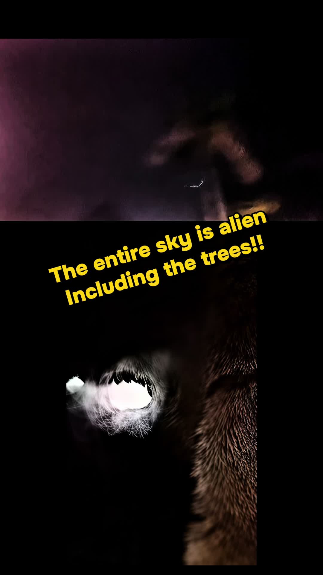@universeisherenow