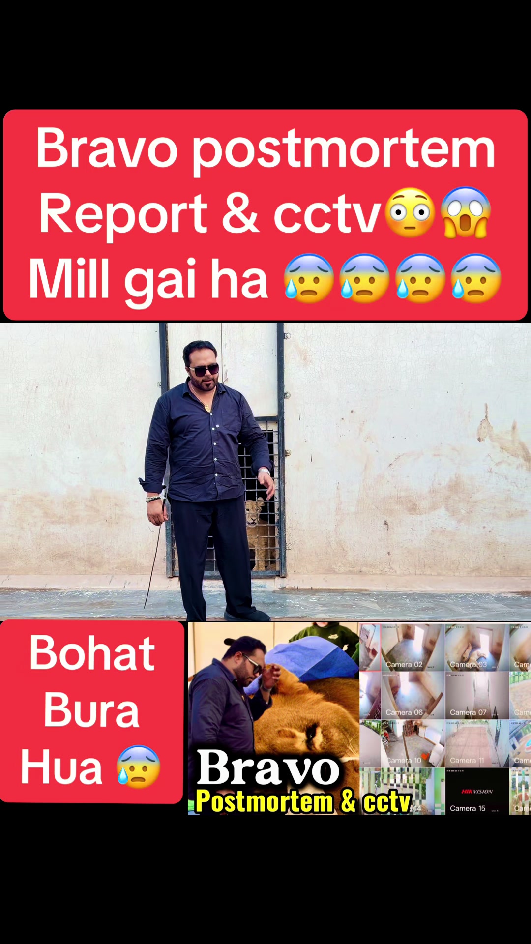 @Mian saqib
