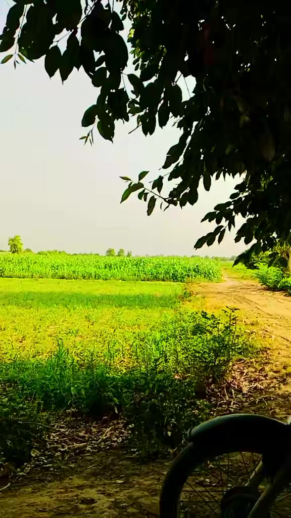 @عبدﷲ ٹھیکیدار