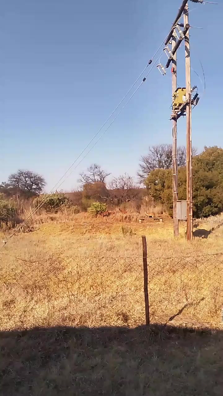 @Esté🇿🇦