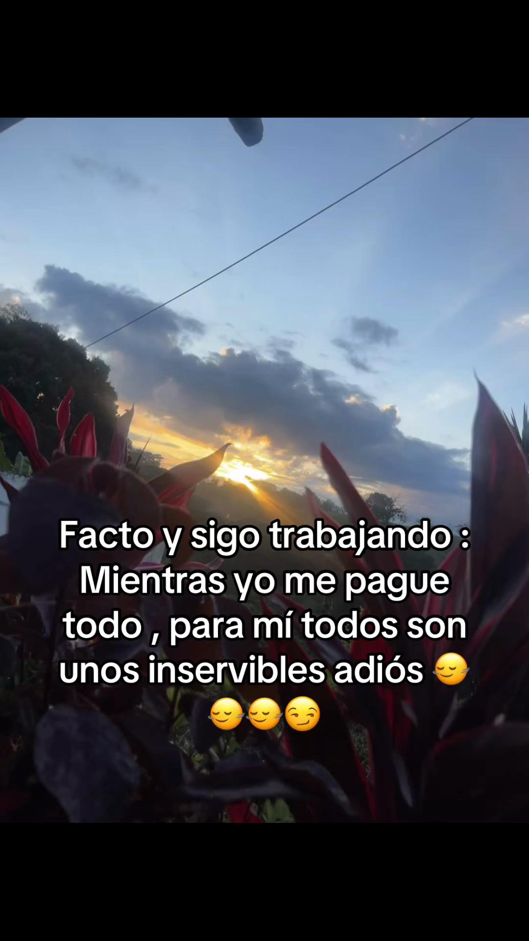 @Juliana Montenegro