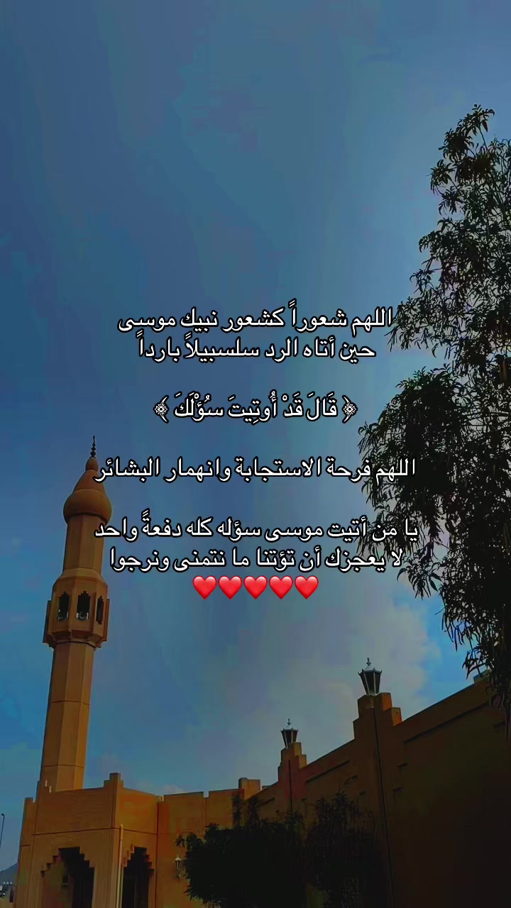 @قلب مطمئن بالله🌿🕊️