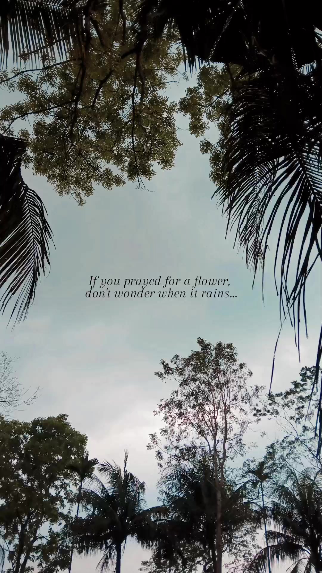 @Mon