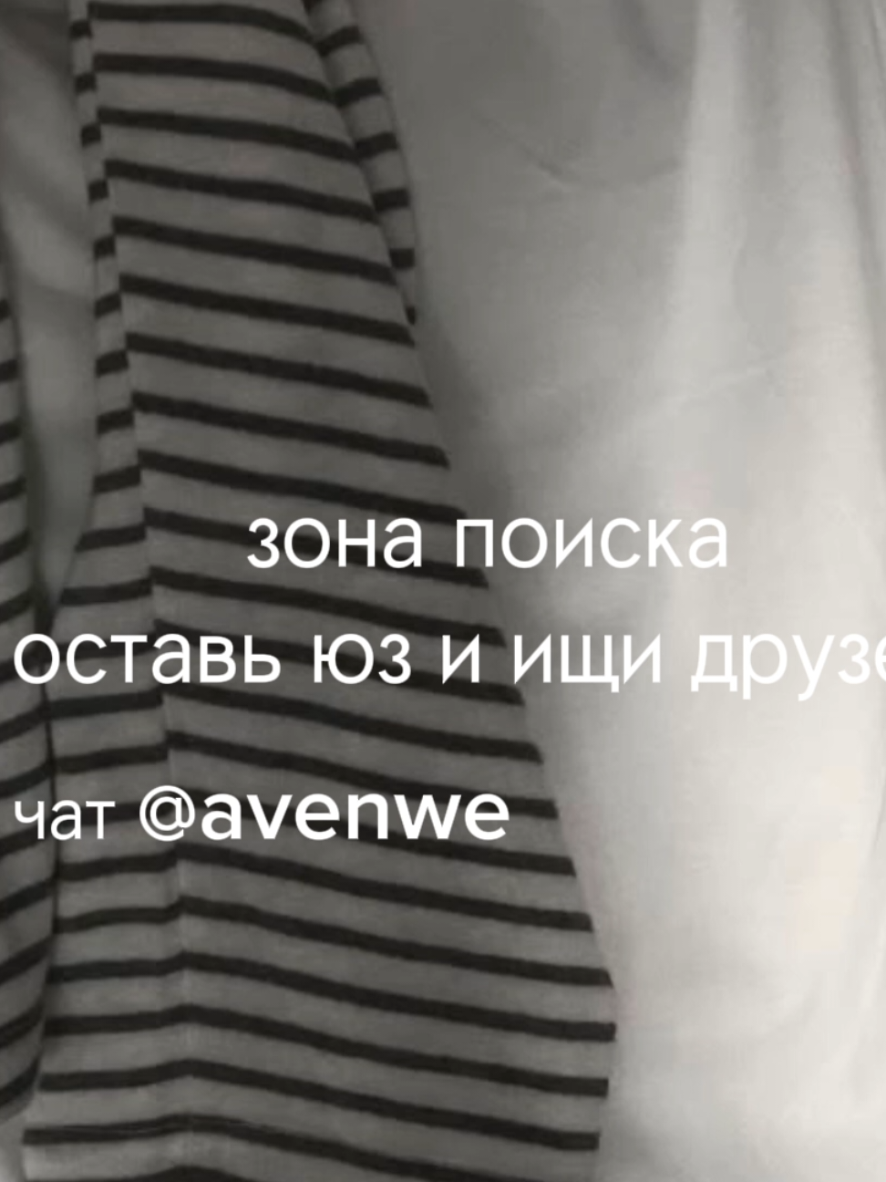 @avenew чат