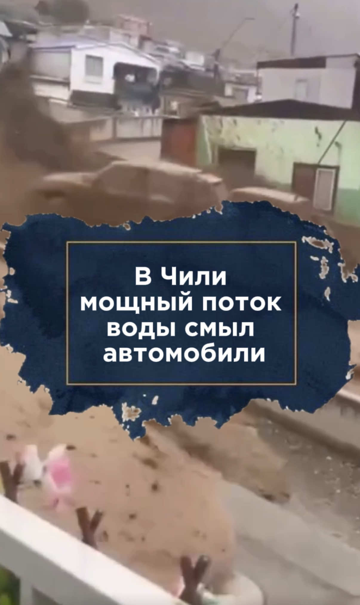 @zakon.kz ➡️ Новости Казахстана