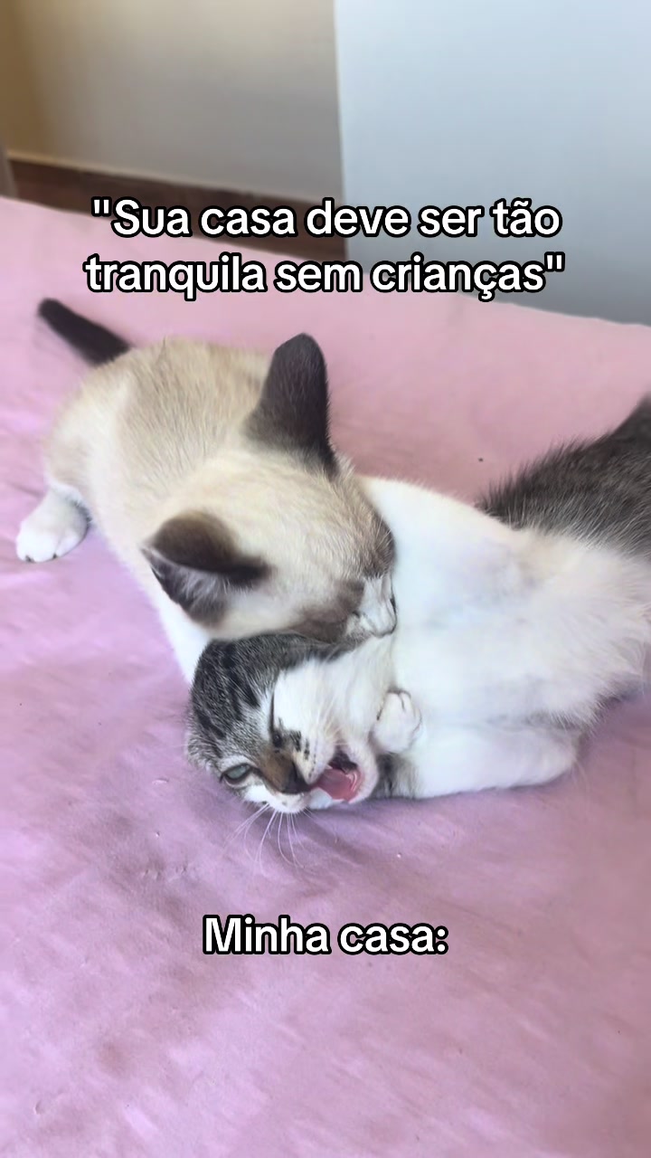 @_julia_gl