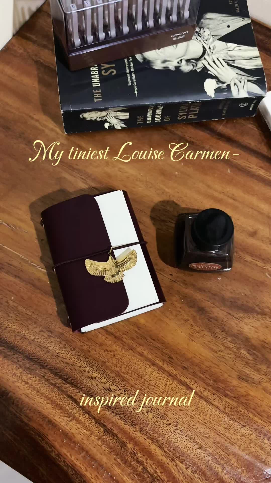 @lucién 𓍢ִ໋🦢˚✧˚ ༘ ⋆。˚