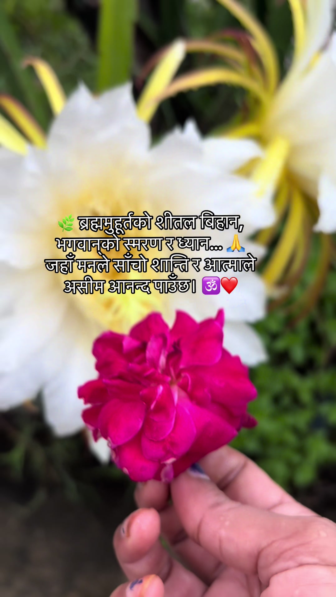 @Binam Kafley Karki