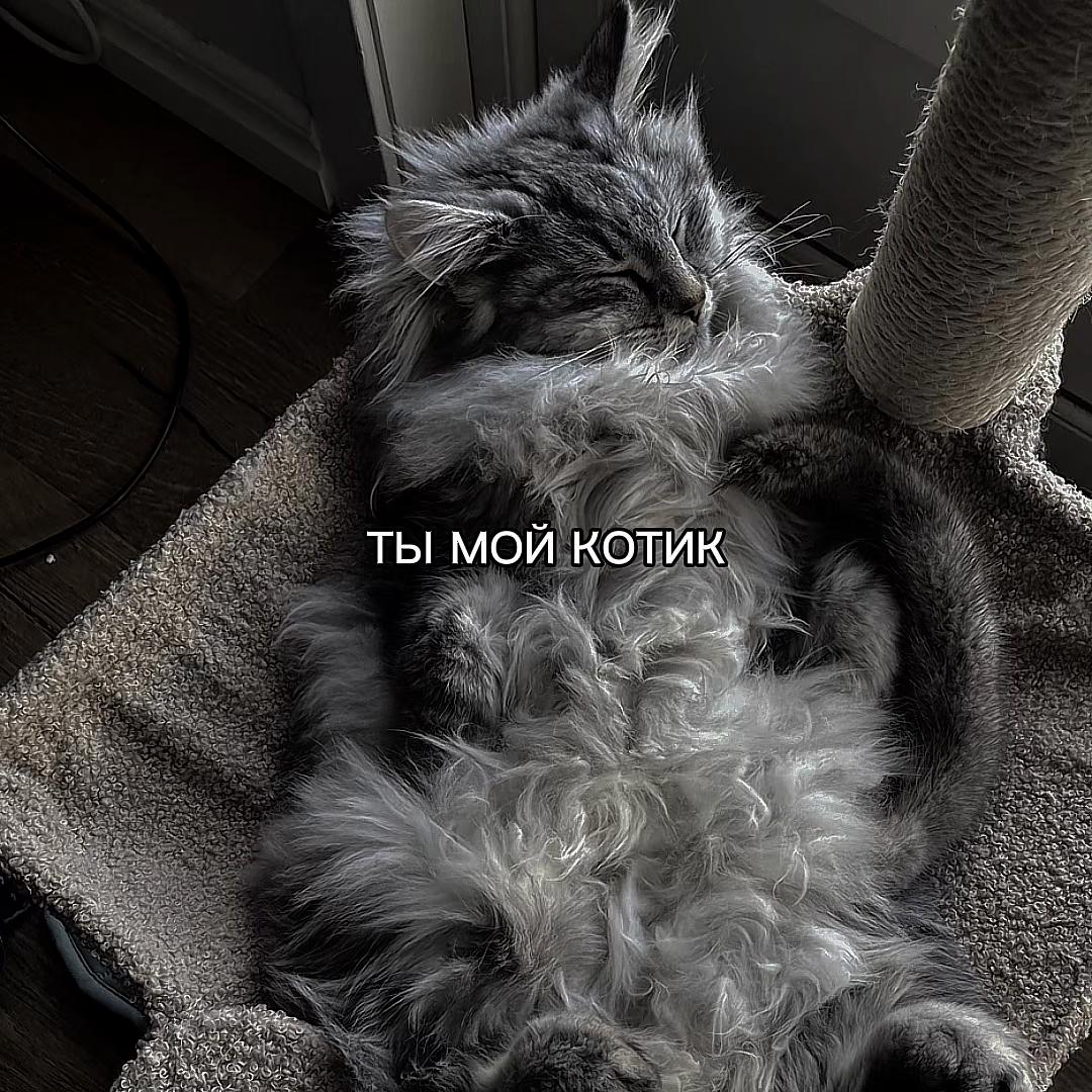 @ХХИКА