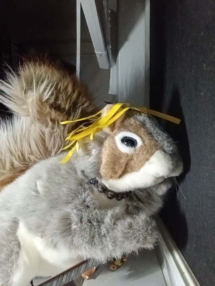 @Charles The Squirrel