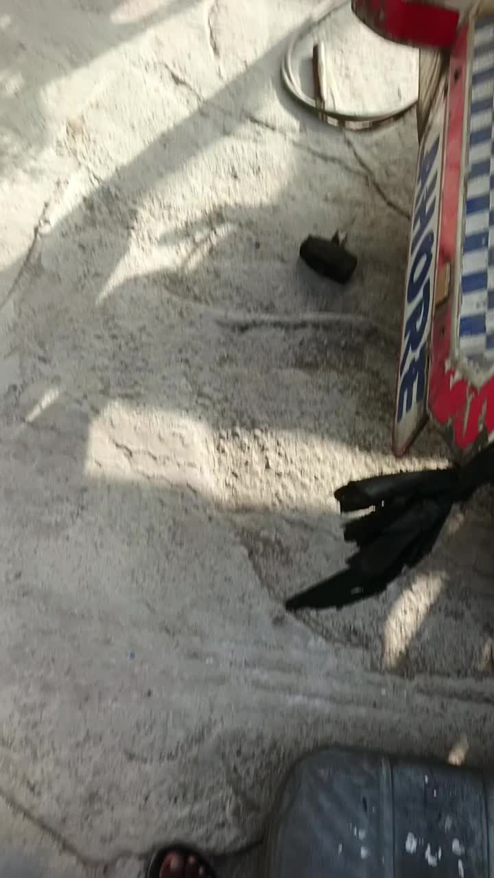 @Zamaan Khan