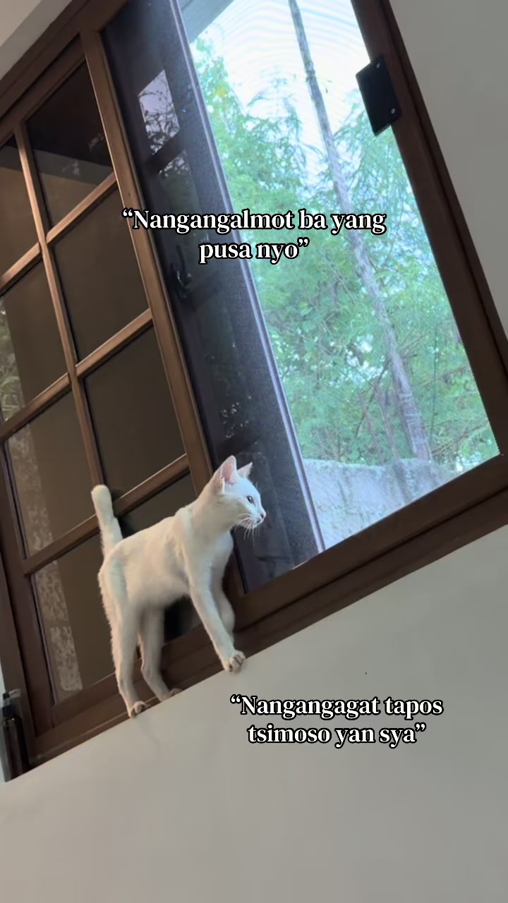 @Sgt.46♡