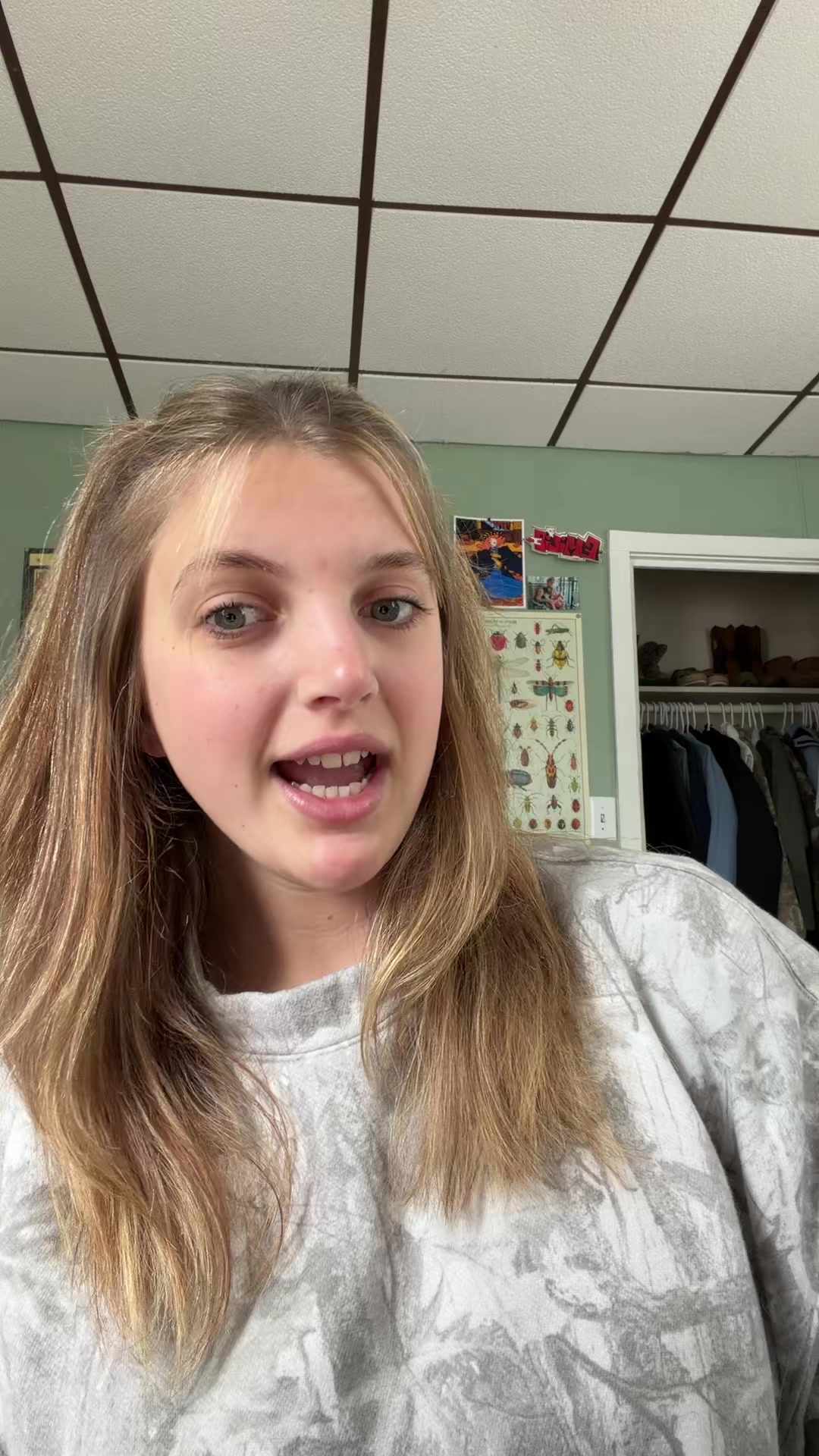 @the.bug.story